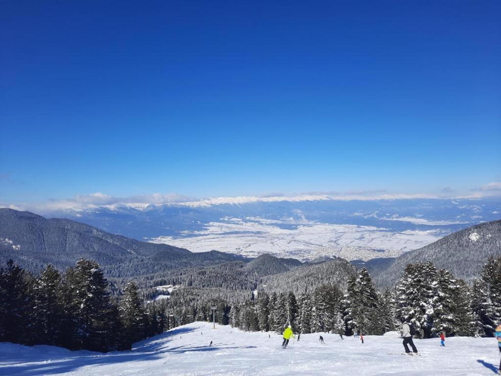 Apartments In Aspen Suites Μπάνσκο Δωμάτιο φωτογραφία